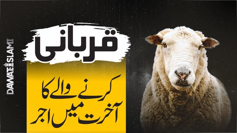 Qurbani Karnay Walay Ka Aakhirat Mein Ajar | Qurbani Ka Ajar O Sawab | Ablaq Ghoray